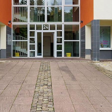 Düren - EifelWohlfuehl-Wohnen In Duerenアパートメント エクステリア 写真